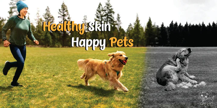 As You Care for Yourself, What About a Multivitamin for Your Pet?