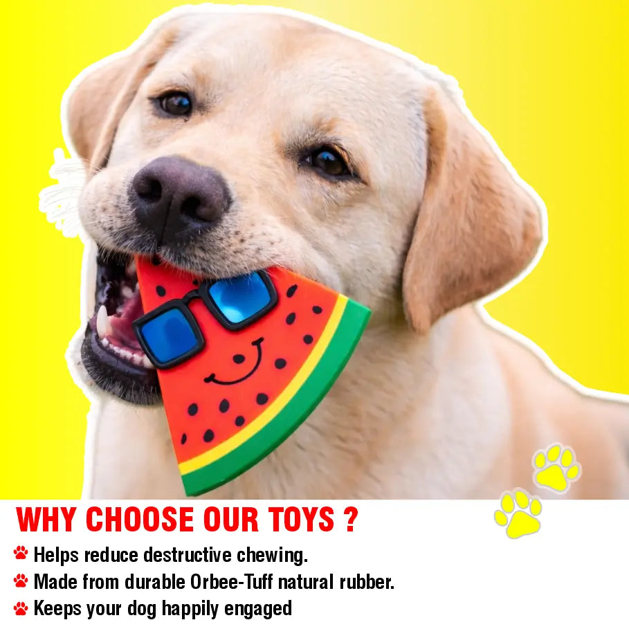 Pet toys