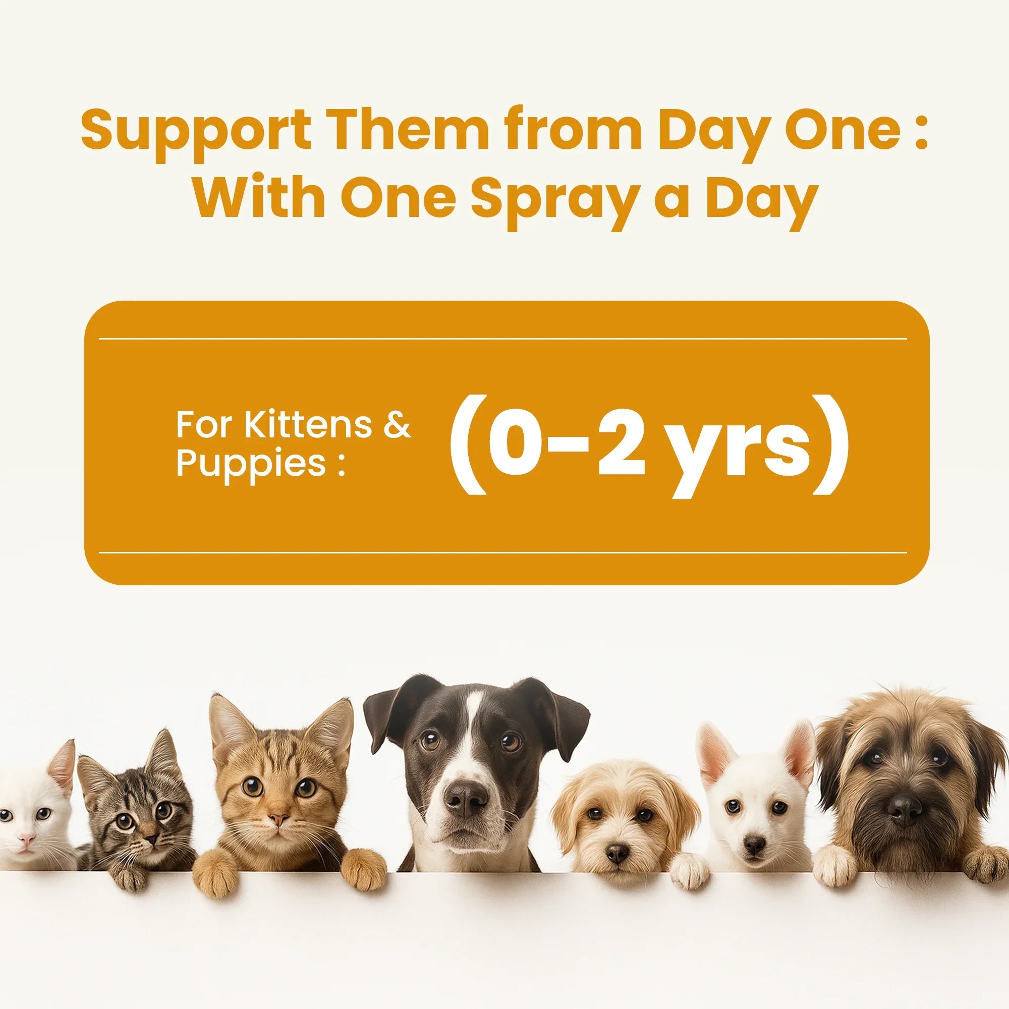 pet health supplements