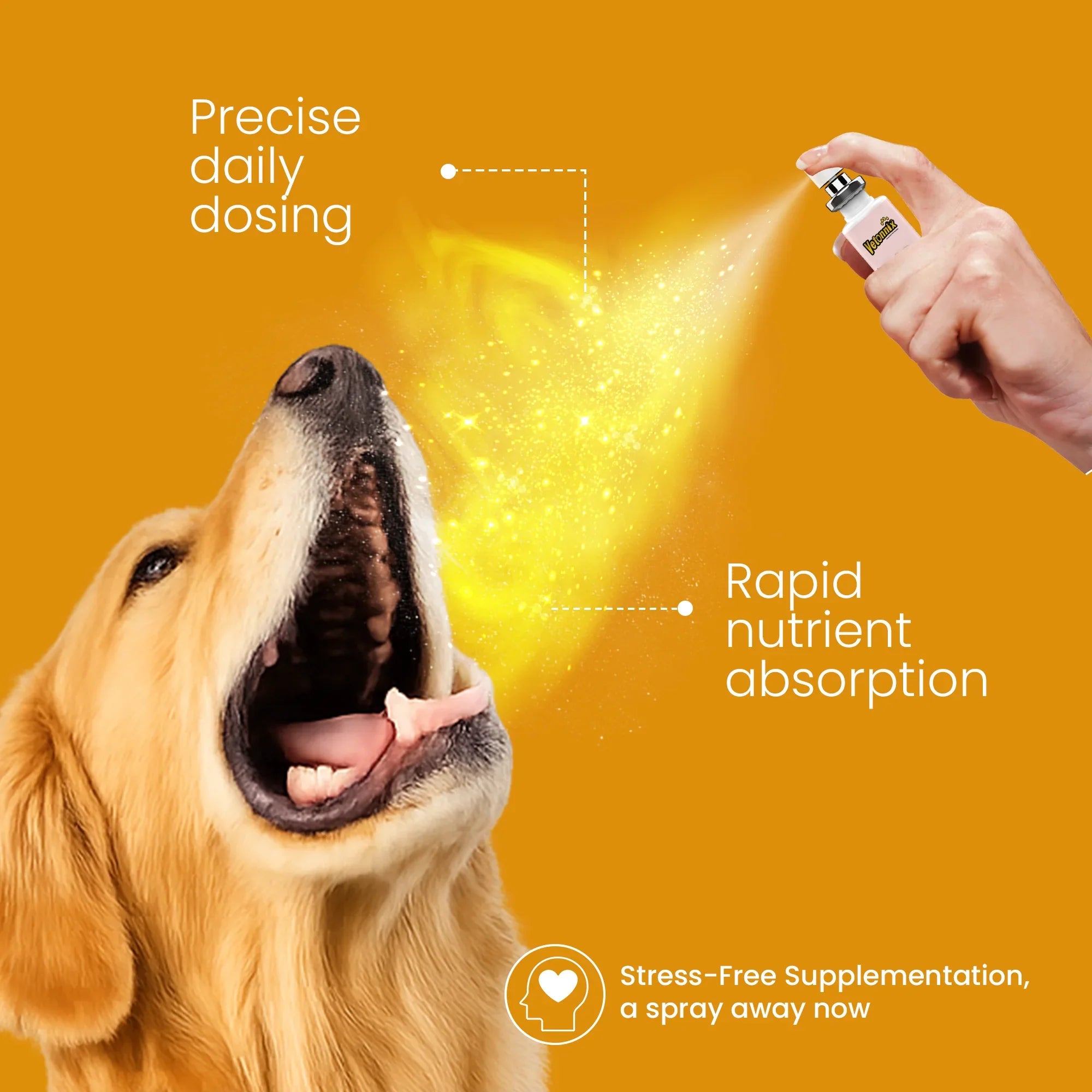 vitamins for dogs