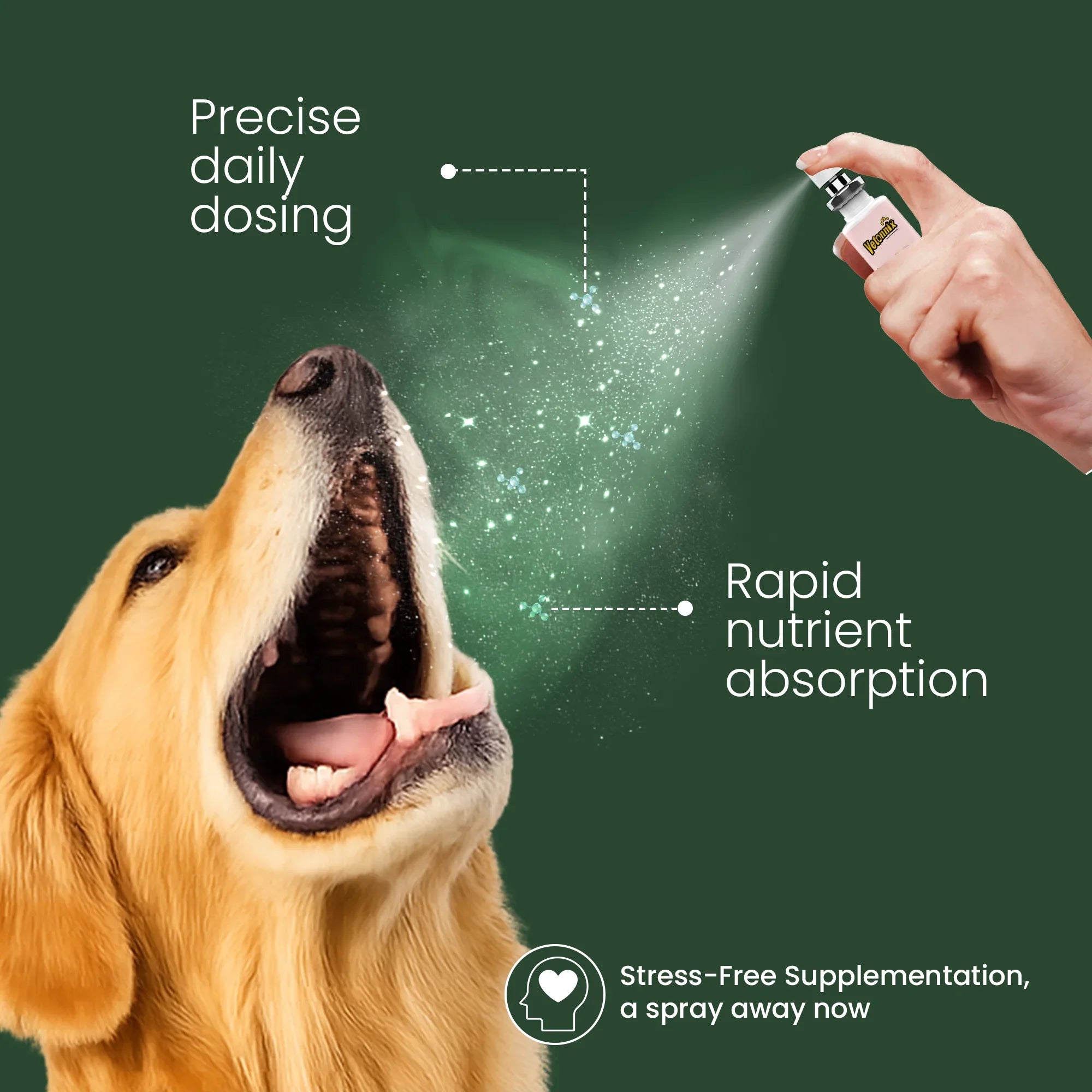 pet calming supplements