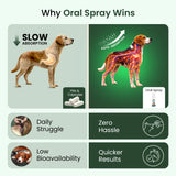 dog vitamins for muscle growth