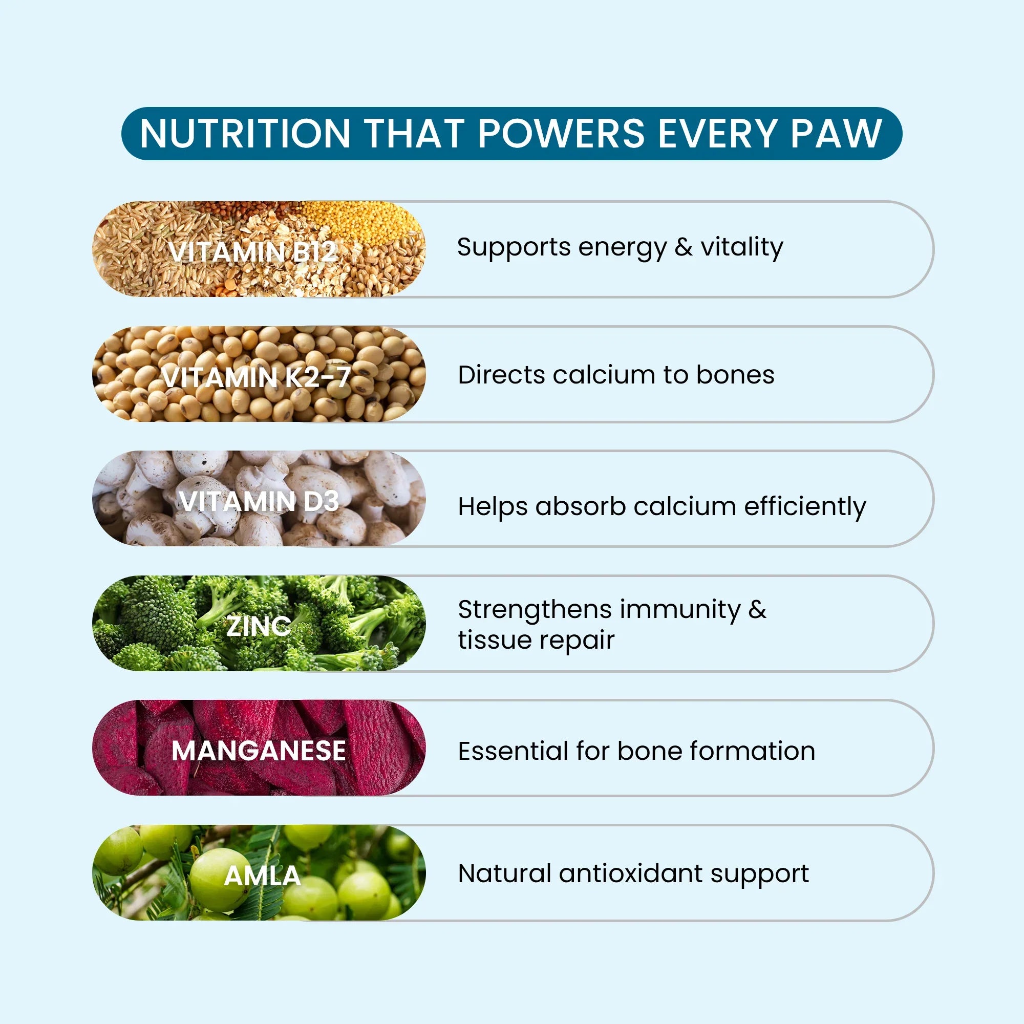 dog joint supplements india