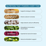 dog joint supplements india
