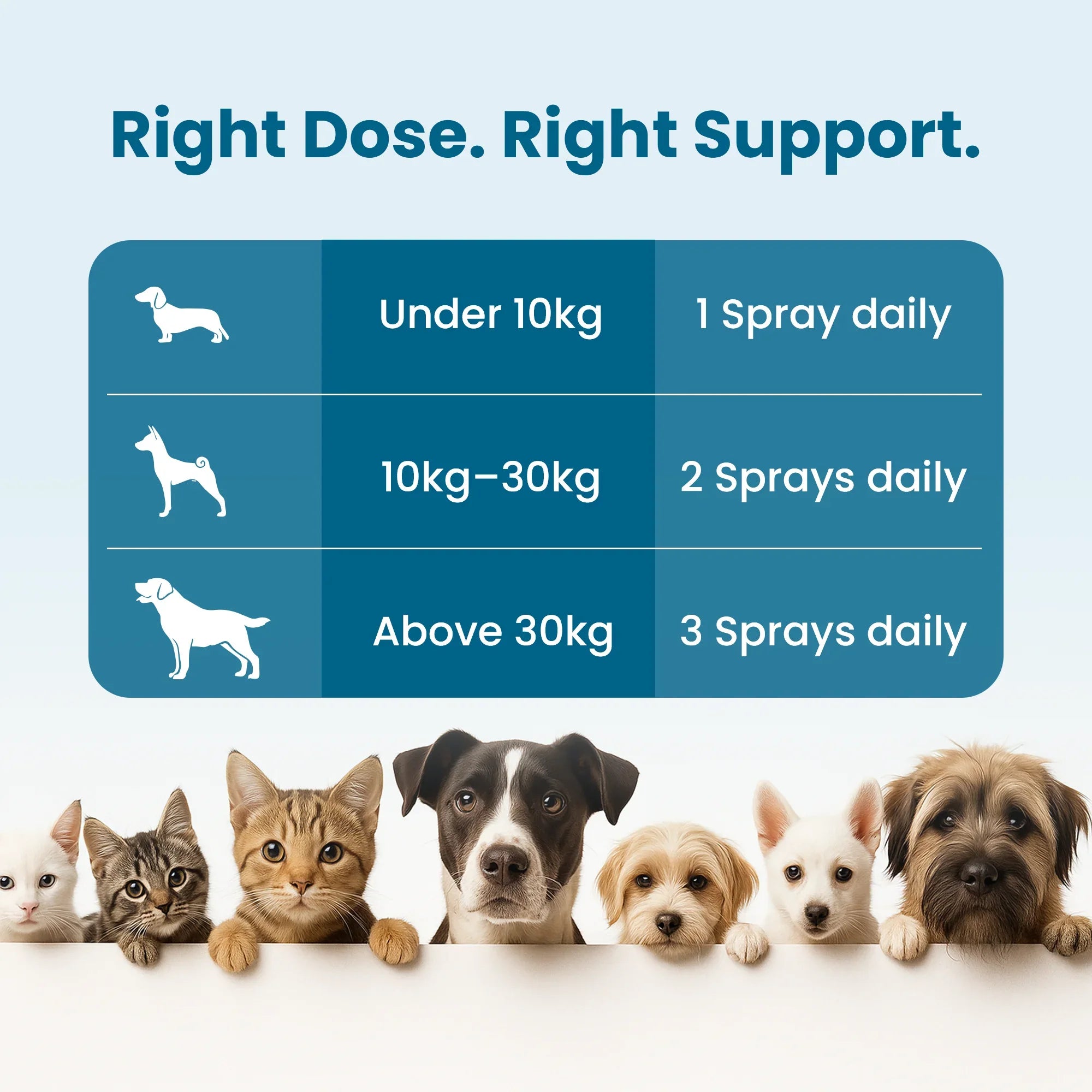 pet joint supplements