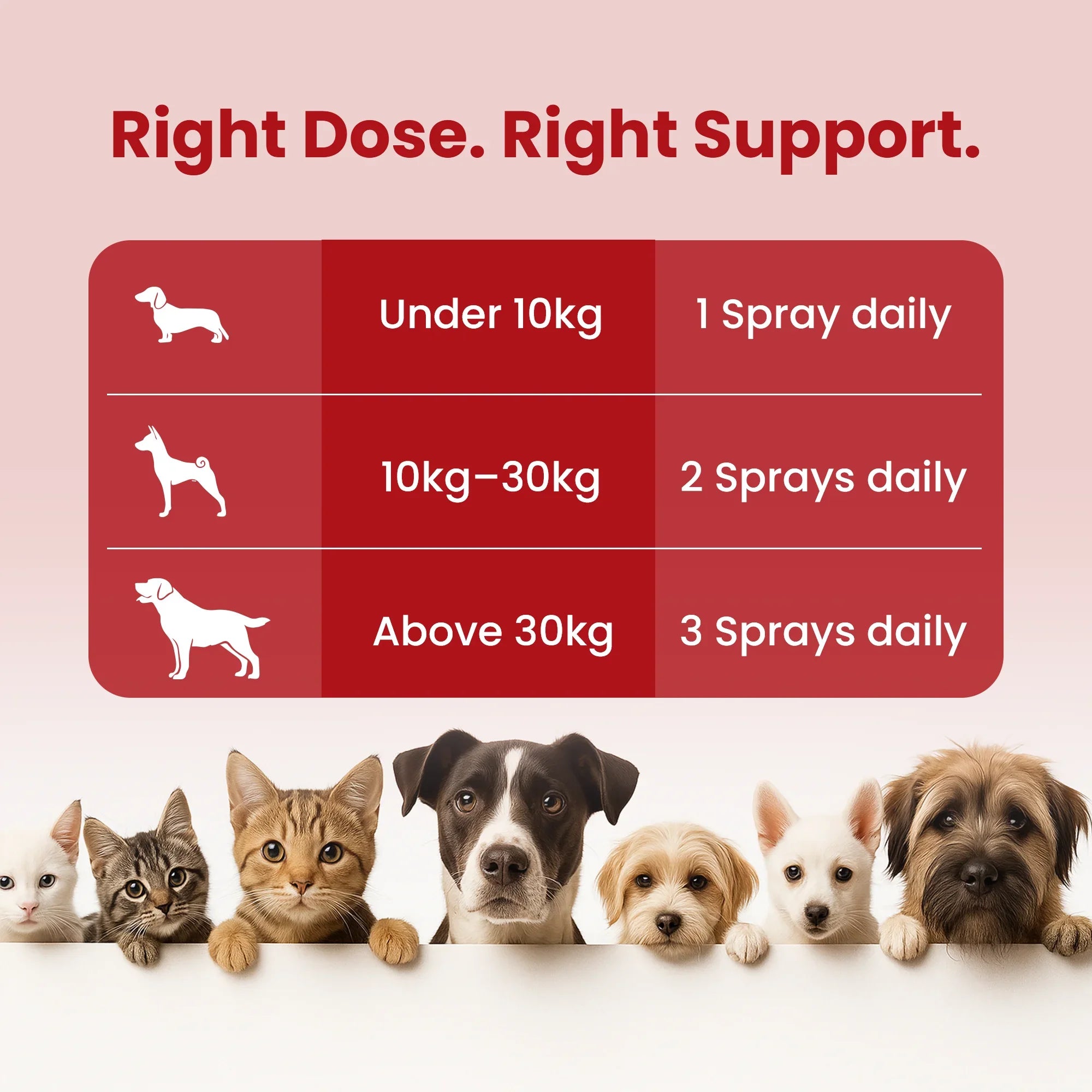 cat multivitamin supplement