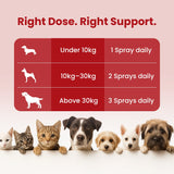 cat multivitamin supplement