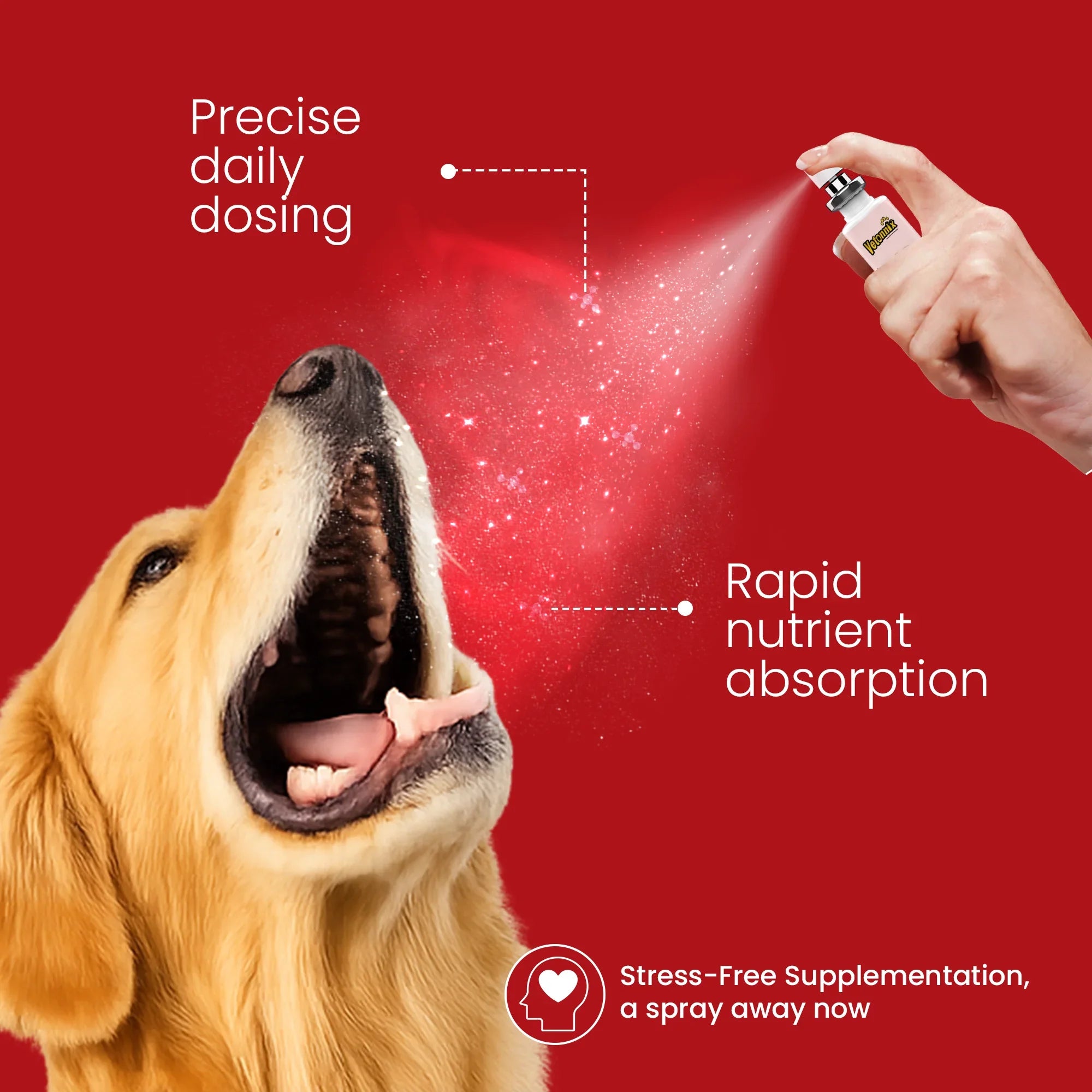 multivitamin for dogs