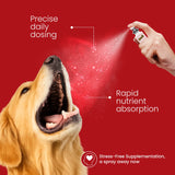 multivitamin for dogs