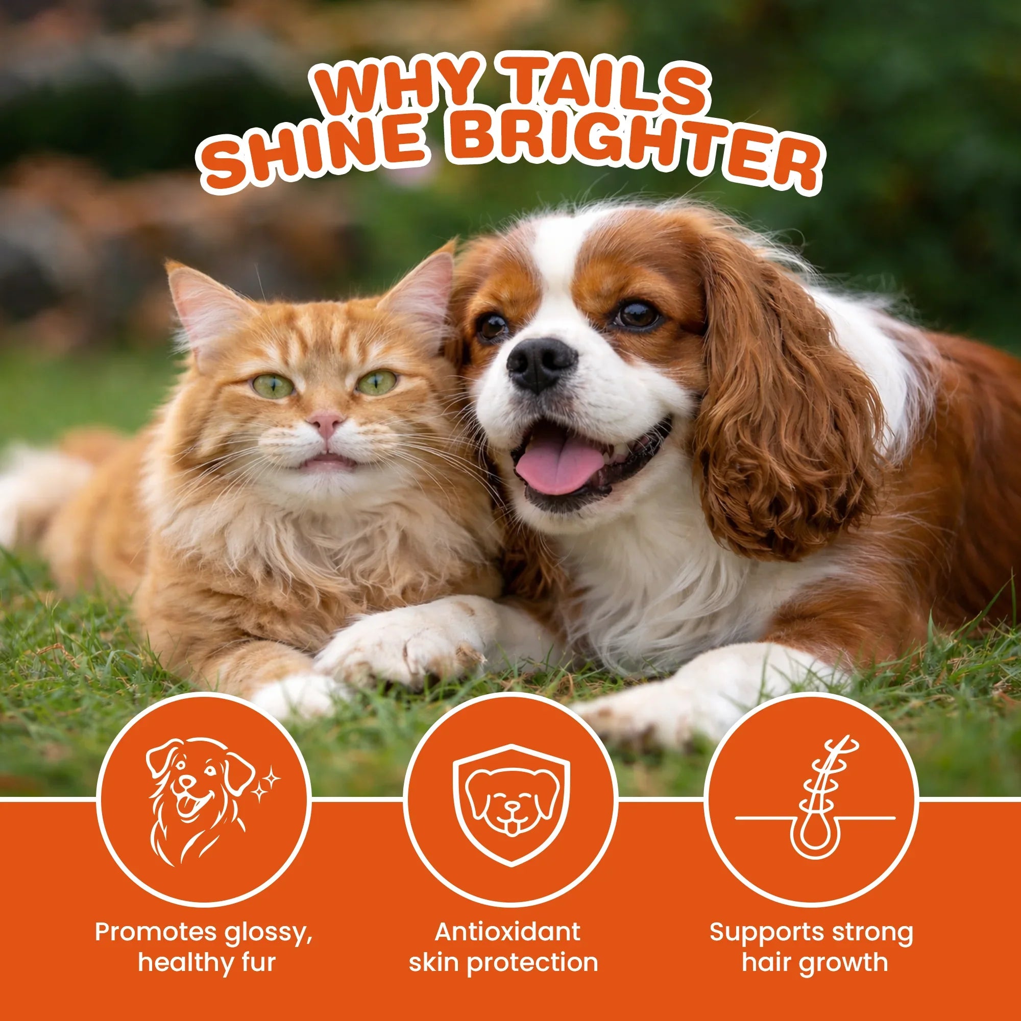 dog shedding supplement