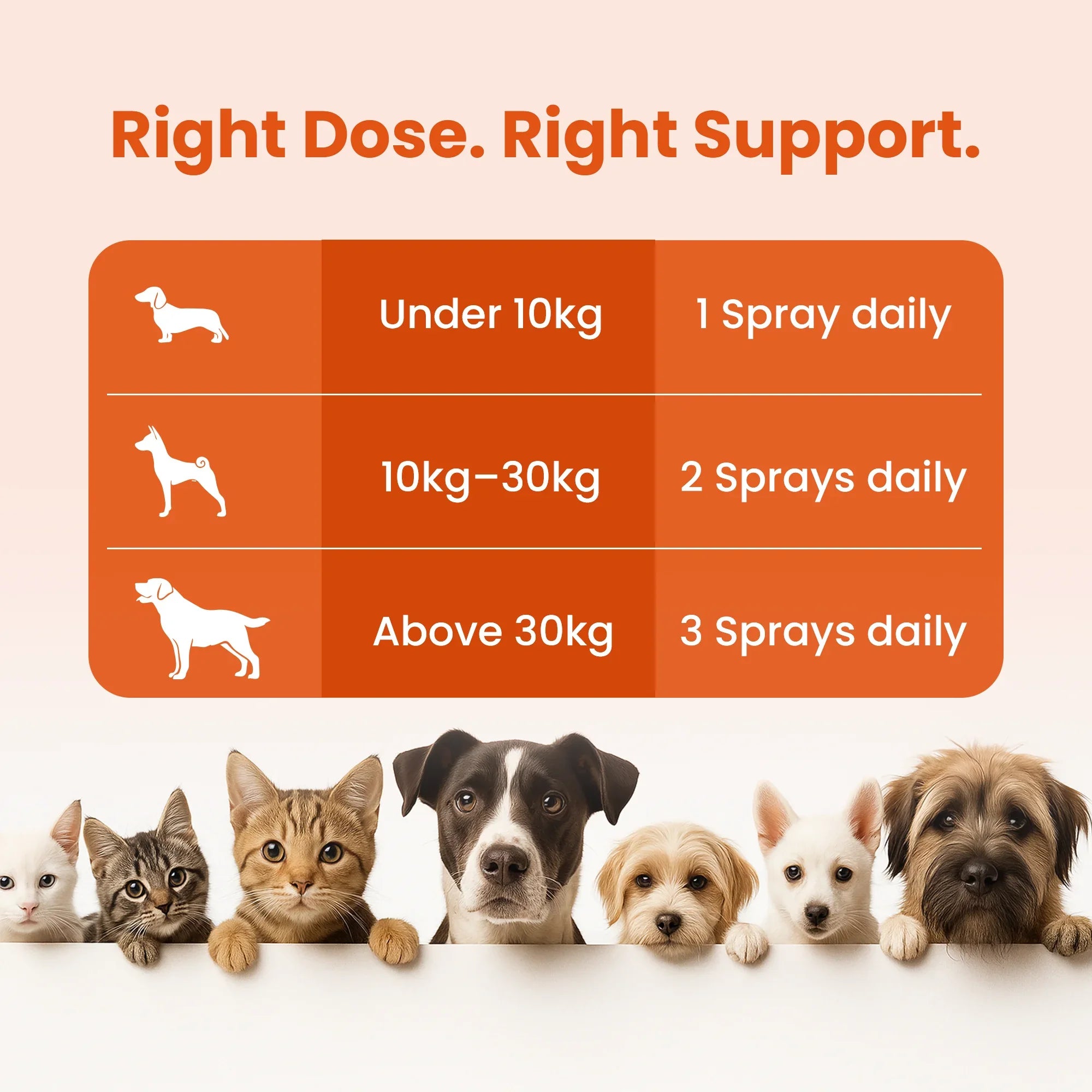 supplements for dog fur