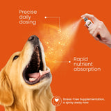 skin and coat supplement for dogs