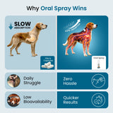 buy dog joint supplement online
